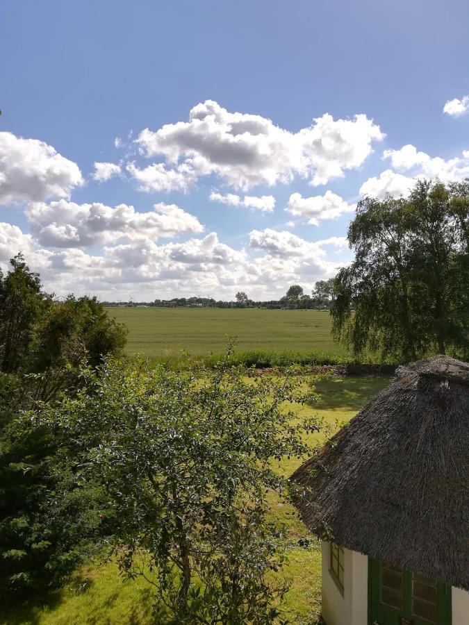 Villa Am Deich Westerdeichstrich Exteriér fotografie