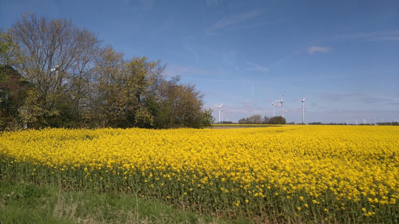 Villa Am Deich Westerdeichstrich Exteriér fotografie